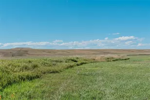 7715 S State Hwy 83, Franktown, CO 80116 - Photo 13