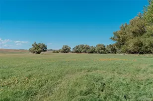 7715 S State Hwy 83, Franktown, CO 80116 - Photo 11
