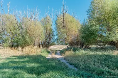 7715 S State Highway 83, Franktown, CO 80116 - Photo 9