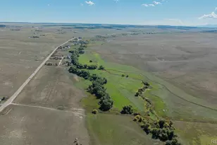 7715 S State Hwy 83, Franktown, CO 80116 - Photo 15