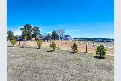 2568 Fox View Trail, Franktown, CO 80116 - Photo 11