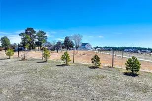 2568 Fox Vw Trl, Franktown, CO 80116 - Photo 11