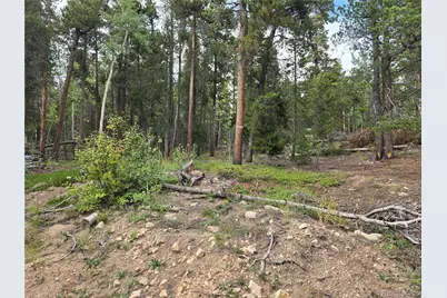 001 Tiber, Black Hawk, CO 80422 - Photo 3