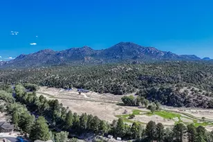 27665 Co Rd 313, Buena Vista, CO 81211 - Photo 41