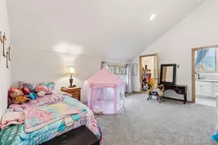 300 Buckeye Crk Rd, Leadville, CO 80461 - Photo 17