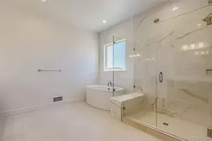 462 Agoseris Wy, Castle Rock, CO 80104 - Photo 19