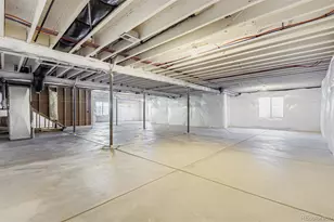 462 Agoseris Wy, Castle Rock, CO 80104 - Photo 23