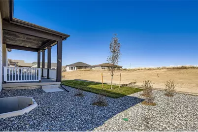 462 Agoseris Way, Castle Rock, CO 80104 - Photo 27