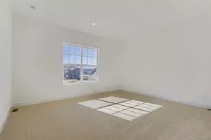 462 Agoseris Wy, Castle Rock, CO 80104 - Photo 21