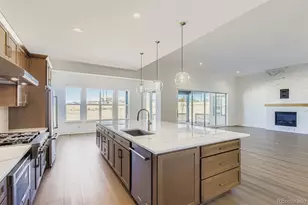 462 Agoseris Wy, Castle Rock, CO 80104 - Photo 13