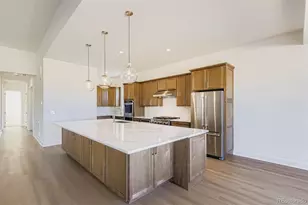 462 Agoseris Wy, Castle Rock, CO 80104 - Photo 11