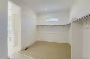 462 Agoseris Wy, Castle Rock, CO 80104 - Photo 25