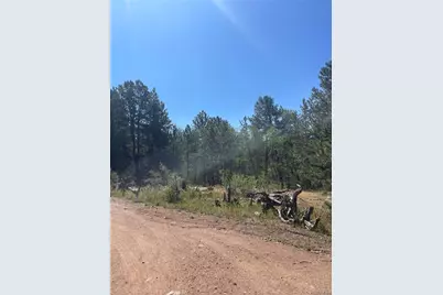 3943 Co Rd 403, Lake George, CO 80827 - Photo 35