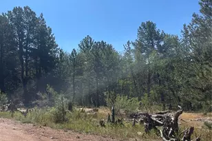 3943 Co Rd 403, Lake George, CO 80827 - Photo 35