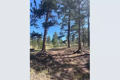 3943 Co Rd 403, Lake George, CO 80827 - Photo 29
