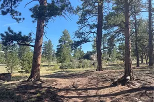 3943 Co Rd 403, Lake George, CO 80827 - Photo 29