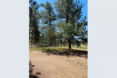 3943 Co Rd 403, Lake George, CO 80827 - Photo 31