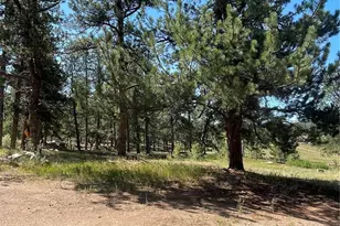 3943 Co Rd 403, Lake George, CO 80827 - Photo 31