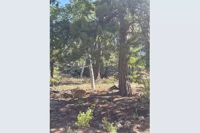 3943 Co Rd 403, Lake George, CO 80827 - Photo 37
