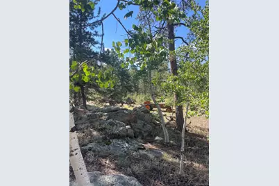 3943 Co Rd 403, Lake George, CO 80827 - Photo 27