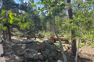 3943 Co Rd 403, Lake George, CO 80827 - Photo 27