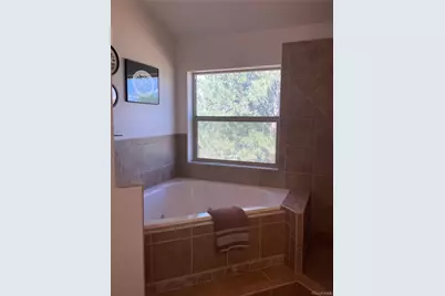 3943 Co Rd 403, Lake George, CO 80827 - Photo 21