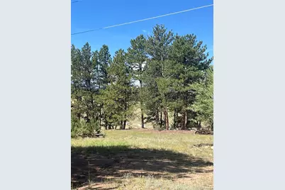3943 Co Rd 403, Lake George, CO 80827 - Photo 33