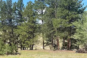 3943 Co Rd 403, Lake George, CO 80827 - Photo 33