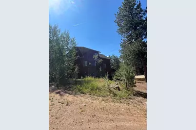3943 Co Rd 403, Lake George, CO 80827 - Photo 3