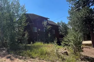 3943 Co Rd 403, Lake George, CO 80827 - Photo 3