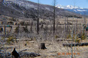 1043 Saul Pl, Fort Garland, CO 81133 - Photo 1