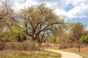 437 W Sycamore Ct, Louisville, CO 80027 - Photo 33