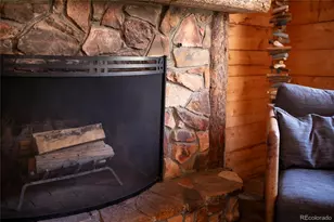 1001 County Rd 17, Lake City, CO 81235 - Photo 9