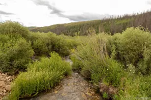 1001 County Rd 17, Lake City, CO 81235 - Photo 7