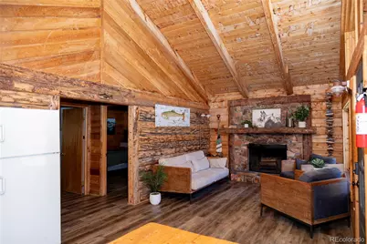 1001 County Rd 17, Lake City, CO 81235 - Photo 11