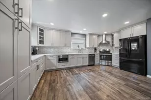 10654 Apishamore Ct, Parker, CO 80134 - Photo 7