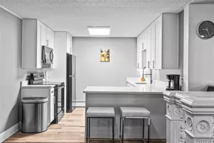 1233 N Ogden St, Denver, CO 80218 - Photo 25