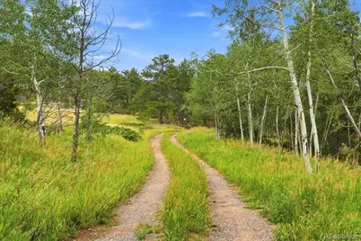 78 Wenro Court, Red Feather Lakes, CO 80545 - Photo 31