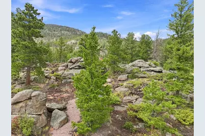 78 Wenro Court, Red Feather Lakes, CO 80545 - Photo 17