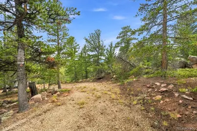 78 Wenro Court, Red Feather Lakes, CO 80545 - Photo 25