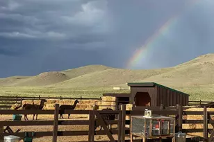 27028 Garo Park Dr, Blanca, CO 81123 - Photo 27