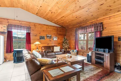 91 Ponderosa Lane, Cotopaxi, CO 81223 - Photo 7