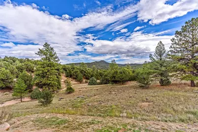 91 Ponderosa Lane, Cotopaxi, CO 81223 - Photo 27