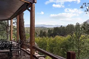 129 Silver Springs Rd, Bailey, CO 80421 - Photo 33