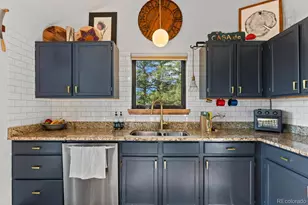 129 Silver Springs Rd, Bailey, CO 80421 - Photo 11