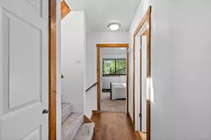 129 Silver Springs Rd, Bailey, CO 80421 - Photo 23