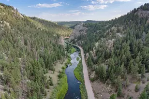 125 S Derail Ln, Lake George, CO 80827 - Photo 33