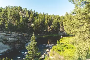 125 S Derail Ln, Lake George, CO 80827 - Photo 35