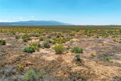 3828 County Road 12.5, San Luis, CO 81152 - Photo 9