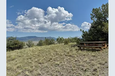 1769 Settele Drive, Hartsel, CO 80449 - Photo 17